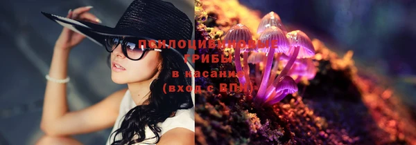 mdpv Верея