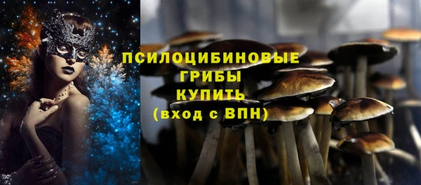 прущие крисы Гусь-Хрустальный