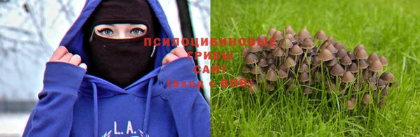 mdpv Верея