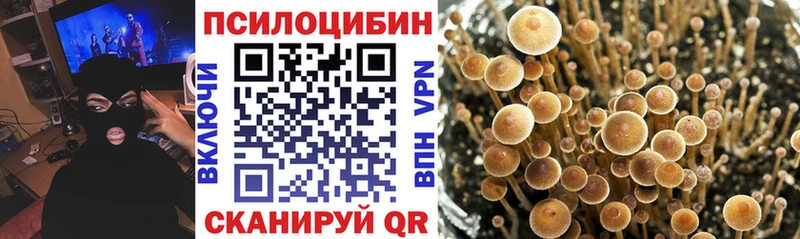 мега зеркало  хочу наркоту  Славянск-на-Кубани  Галлюциногенные грибы прущие грибы 