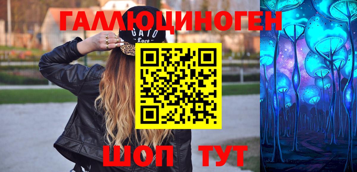 Псилоцибиновые грибы Psilocybe Славянск-на-Кубани
