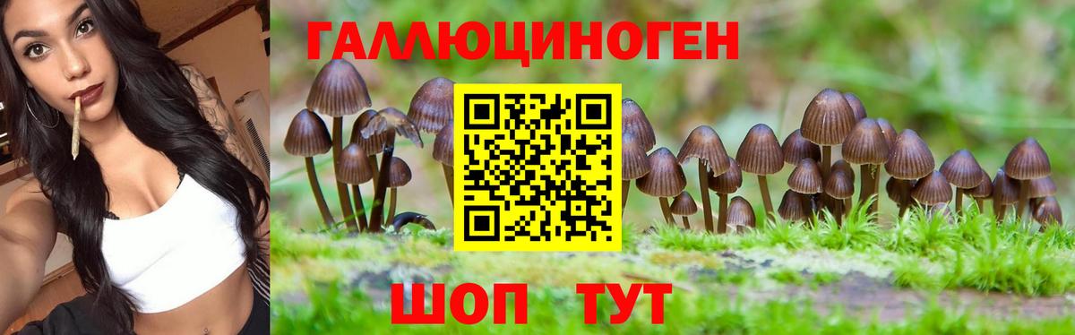Славянск-на-Кубани  Псилоцибиновые грибы ЛСД  Псилоцибиновые грибы прущие грибы  наркота  Вход с VPN 